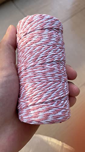 Flipped 328 ft Pink & White Twine String for Craft, Gift Wrapping, Macrame, Bake/Baker’s Rope