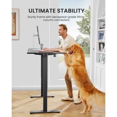 ErGear Electric Standing Desk, 44 x 24 Inches Height Adjustable Stand up Desk, Sit Stand Home Office Desk, with Two-Piece Desktop (Black)