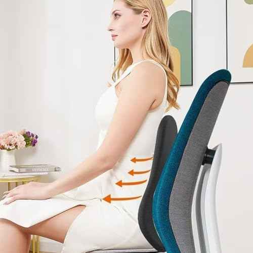 Ergonomic Lumbar Support with Breathable Mesh, Lower Back Pain Relief Upgraded Version