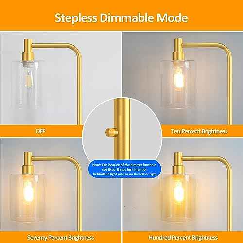 Stepless Dimmable Floor Lamps with Glass Lampshade Modern Standing Lamps with 6W LED Bulb Bright Corner Lamp Tall Pole Lamps for Living Room Bedroom Office Study Room Farmhouse, Gold