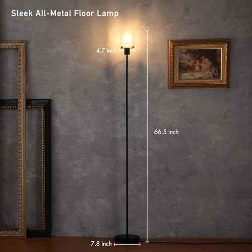 O'Bright Elegante - Dimmable LED Floor Lamp with Clear Glass Shade, Touch-Controlled Lighting, 66.5-Inch, Perfect for Dinning, Living Room and Bedroom, Black