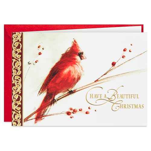Hallmark Boxed Christmas Cards, Painted Cardinal (40 Cards and 40 Envelopes) Beautiful Christmas