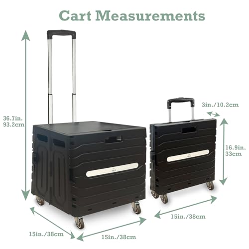 Inspired Living Collapsible Folding Utility Cart, Heavy-Duty Rolling Crate with 360¡Æ Wheels, Telescoping Handle, Hidden Lid, Holds 200 Lbs, Black