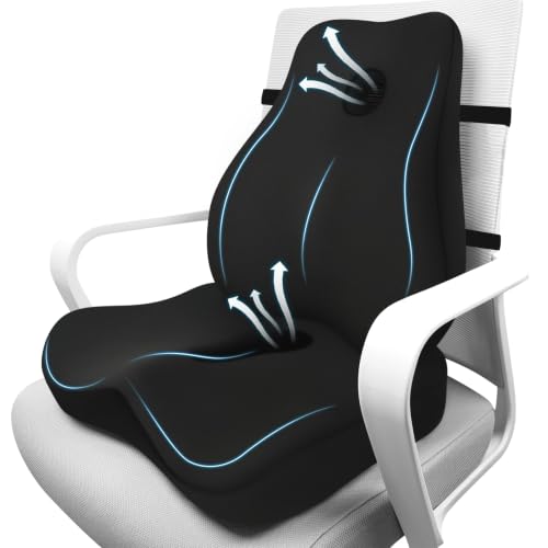 JIPORIER Black Lumbar Support Pillow & Memory Foam Seat Cushion for Office Chair