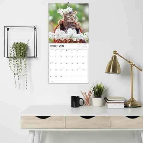 2026-2027 Calendar - 18 Monthly 2026-2027 Wall Calendar from Jan. 2026 - Jun. 2027, Cat Calendar with Unruled Blocks, 12" x 24"(Open) Wall Calendar for Office School Home Planning