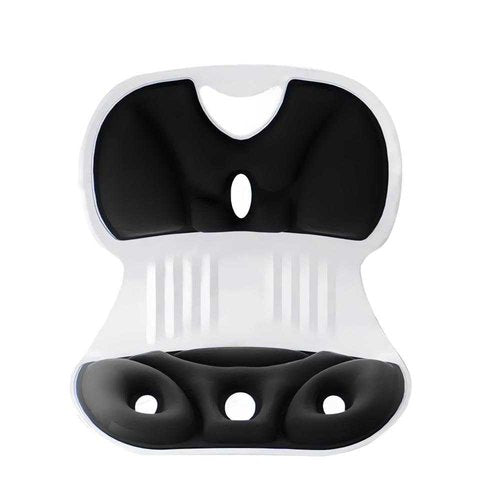 FACIOWN-Ergonomic Chair Back Support, Lumbar Support for Good Posture Correction and Back Pain Relief,Suitable for Office Chair,Car,Reading Chair,Office Chair Waist Support Cushion (Black)