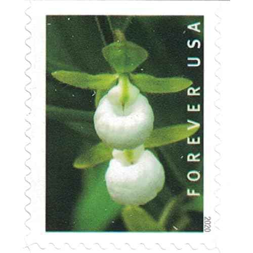 Wild Orchids Flowers (Booklet of 20) First-Class Mail Forever Postage Stamps 2020 Scott 5445-5454