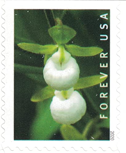 Wild Orchids Forever Postage Stamps Booklet of 20 - US Postal Service