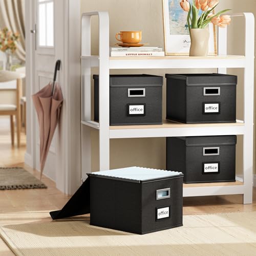 Huolewa Black Collapsible File Organizer Box with Lids - 1 Pack Linen