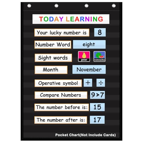 AUVCAS 10-Pocket Classroom & Homeschool Chart - 43 x 28 Inches Black