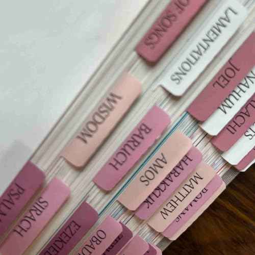 Catholic Bible Tabs, Reposition Laminated Stickers, Easy to Read and Apply Bible Tabs for Women and Man (Catholic Pink)