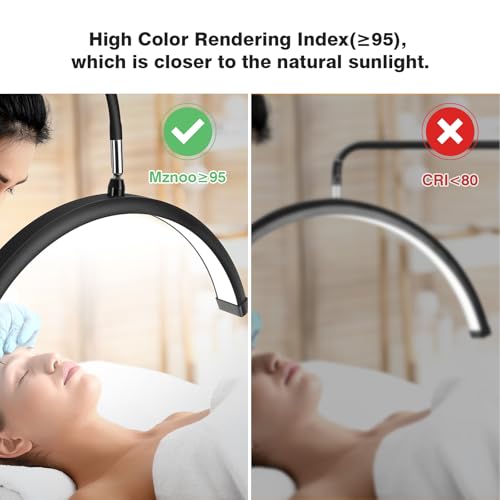 Lash Light for Eyelash Tech with Wheels, Half Moon Light for Lash Extensions, Nail Tech, Tattoo Artist and Make up, LED Floor Lamp Adjustable Brightness and Color Modes (Black)