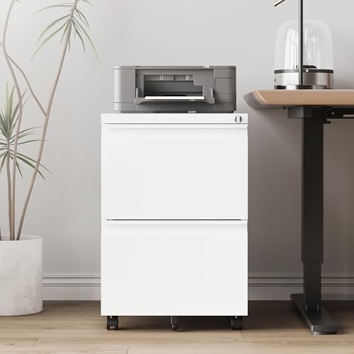 RAVIGIN 2-Drawer Mobile File Cabinet with Lock, Fully Assembled, White