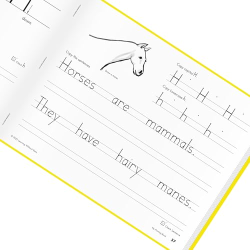 Learning Without Tears My Printing Book Student Workbook, Age 6+, 1st Grade+, Handwriting Practice, Writing Book, School & Home, Language Arts, Tutoring, Sensory
