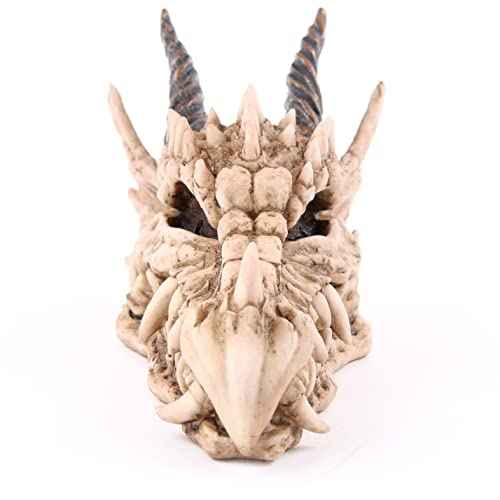 Puckator DRG186 Dragon Skull Money Box 19 x 11 x 11 cm, Mixed, Height 11cm Width 11cm Length 19cm Slot 3.5cm