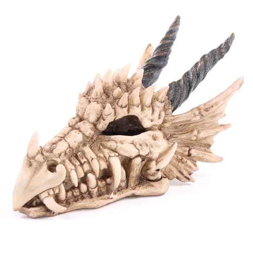 Puckator DRG186 Dragon Skull Money Box 19 x 11 x 11 cm, Mixed, Height 11cm Width 11cm Length 19cm Slot 3.5cm