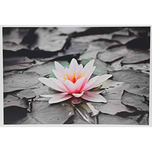 PPD Glossy Photo Paper for Inkjet Printer, 11 x 17" Premium Quality Printable Sheets for Custom Picture, Professional Photographic Instant Dry For with Normal, Dye or Pigment Ink (50 Pack/280 gsm)
