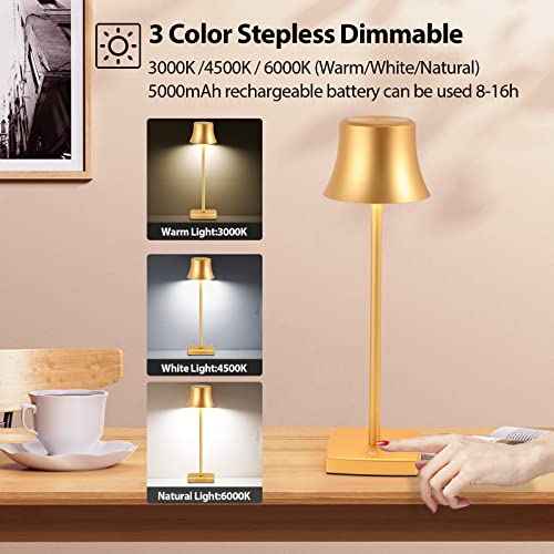 LED Desk Lamp Cordless Table Light, Rechargeable Battery Powered 3 Levels Brightness Dimmable for Outdoor Modern Restaurant Dining Bedroom Study Portable Lights Set of 2 Pack Gold
