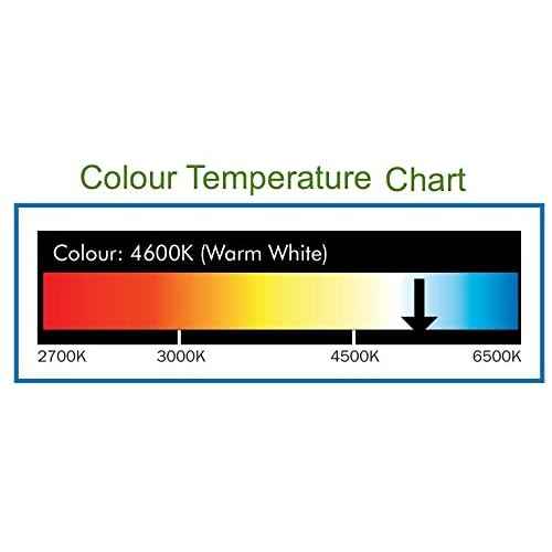 Folding Desk Lamp with Swivel Head, Compact Footprint, Chrome (VLED420)