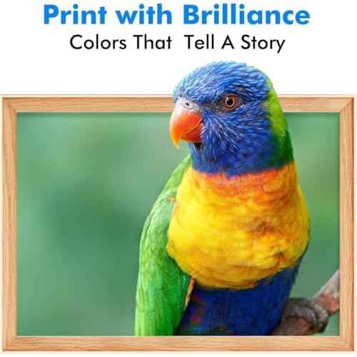 314XL G/R Remanufactured Ink Cartridges for epson 312xl Ink cartridges T314 314XL Work with Expression Photo XP-15000 XP-8500 XP-8600 Printer (Gray/red)