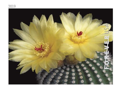 USPS Forever First Class Postage Stamps - Cactus Flower Collection, 20 Booklets (100 Stamps)