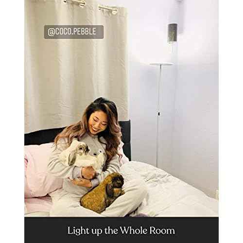Brightech Sky LED Floor lamp, Torchiere Super Bright Floor Lamp for Living Rooms & Offices - Dimmable, Tall Standing Lamp for Bedroom Reading - Platinum Silver
