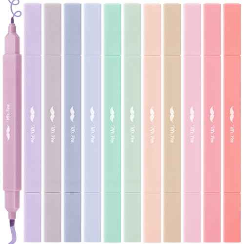 Mr. Pen- Dual Tip Aesthetic Highlighters, 12 Pack, Chisel & Fine Tips, Joyful Earth, Cute Highlighters Assorted Colors