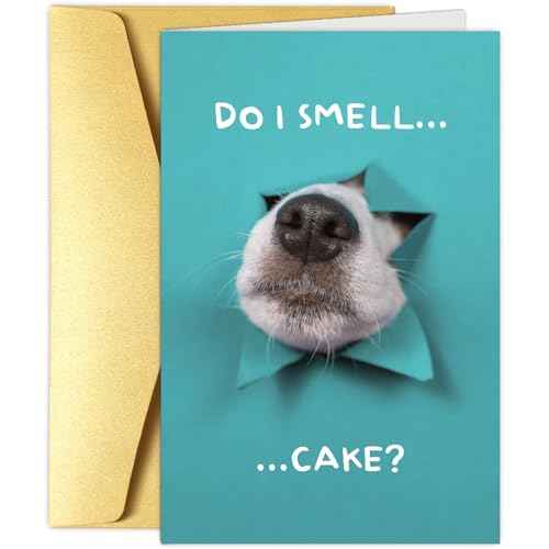 Funny Dog Birthday Cake Card, Cute Birthday Card from Dogs, Humor Dog Peeking Through Card, Do I Smell... Cake?