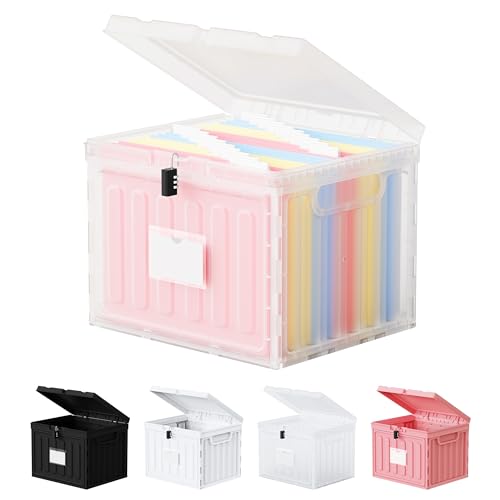 Hueilm Clear 1 Pack Small Plastic File Box with Lid for Letter Size Folders - Stackable, Portable Office/Home