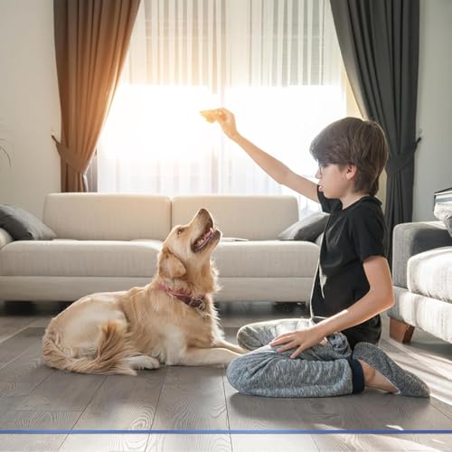 OXIGG Large Clear Floor Mat - Pet Flooring Protector, Plastic Rug Protector, Vinyl Floor Mat - Ideal for Hardwood Floors, Home & Office Use (Clear, 120x250CM/3.9X8.3FT)