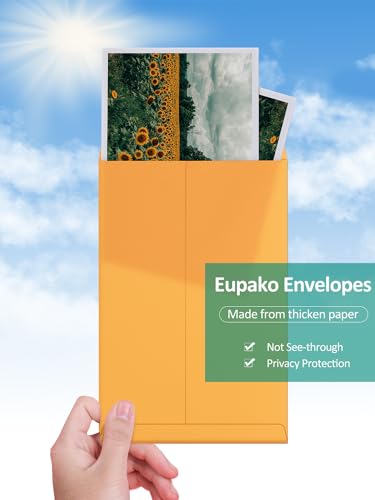 Eupako 6x9 Inches Brown Self-Sealing Catalog Envelopes, Pack of 250