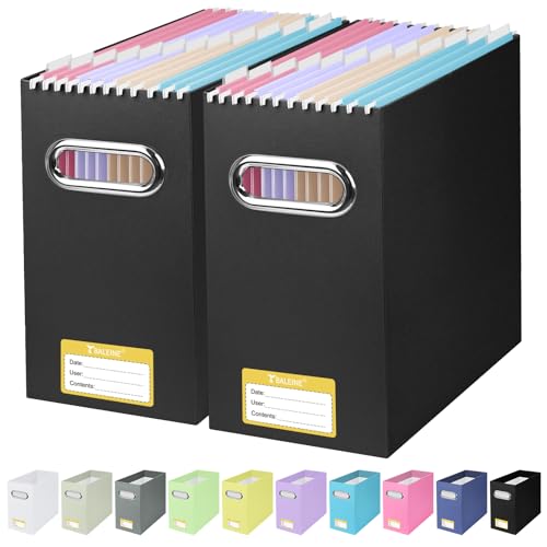 BALEINE 2-Pack Slim Cardboard File Organizer Box with Handles - Black