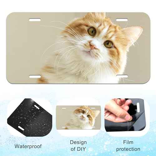 20 Pack 0.65mm Blanks Plate Tag for Design Work