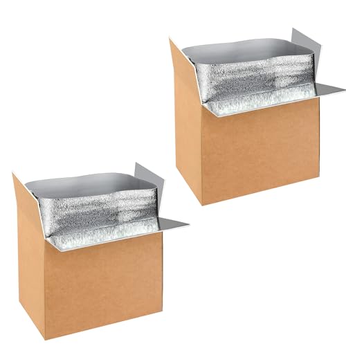 YSSOA Insulated Shipping Boxes with Aluminum Foil Liner,Thermal Insulation Cold Pack Shipping Boxes for Frozen, Reusable Styrofoam Cooler Box, Small Mailing Box, 19¡¯¡¯ x 12¡¯¡¯ x 16¡¯¡¯, New (Pack of 2)