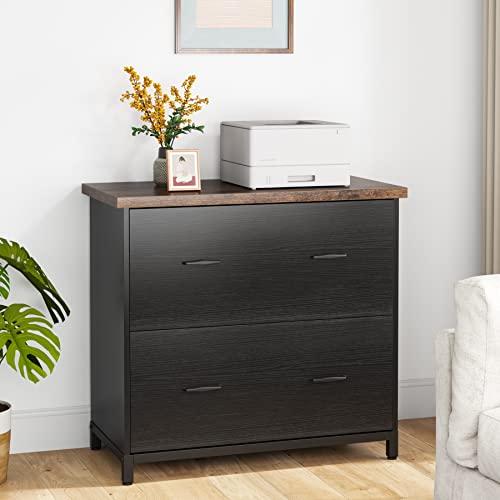 Tribesigns 2-Drawer File Cabinet – Wood Lateral Printer Stand, Black & Brown
