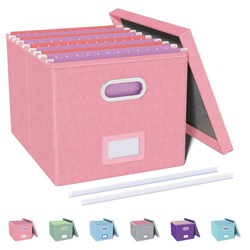 Oterri Pink File Organizer with Lid - Portable Letter File Box for Office & Home, 1 Pack