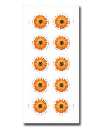 2022 US Postal Service African Daisy International Postage Stamp Sheet (10 Stamps)