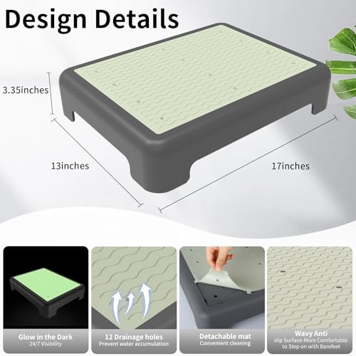 One Step Stool for Adults, Noctilucent Bed Step Stools, 650 LBS Capacity, Non-Slip Safety Step Platform Indoor and Outdoor for Seniors, Wide Step Stools Elderly Assistance at Night