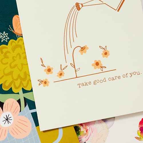 Hallmark Bulk Greeting Card Assortment with Organizer (100 Cards with Envelopes) Birthday Cards, Thank You Cards, Wedding Cards, Sympathy Cards, Holiday Cards, Congrats Cards