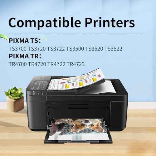 275XL Ink Cartridge Replacement for Canon Ink 275 275XL Black PG-275 PG-275XL Works for Canon PIXMA TR4720 TS3720 TS3500 TS3522 TS3520 TS3722 TR4700 TR4722 TR4723(2 Black)