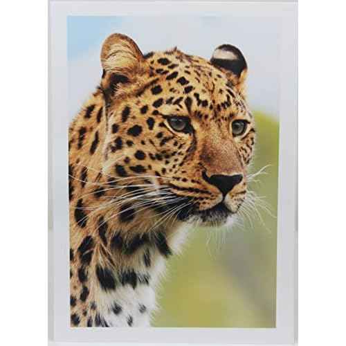 PPD Glossy Photo Paper for Inkjet Printer, 11 x 17" Premium Quality Printable Sheets for Custom Picture, Professional Photographic Instant Dry For with Normal, Dye or Pigment Ink (50 Pack/280 gsm)