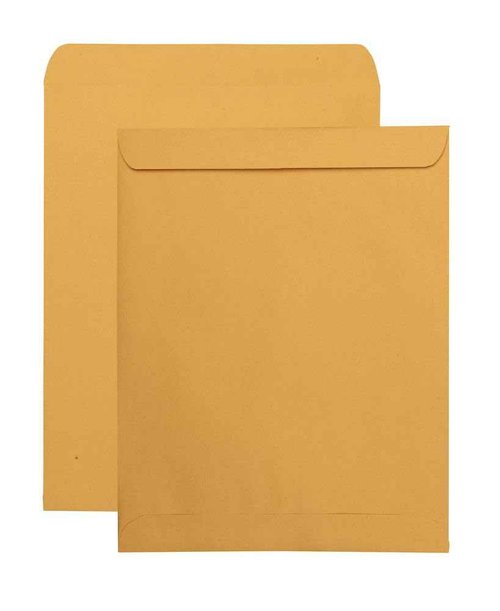Quality Park Catalog Mailing Envelopes, 11-1/2 x 14-1/2 Envelopes, Gummed, Heavy 28 lb. Kraft Paper, for Mailing, Organizing and Storage, 250 per Box (QUA41865), Light Brown