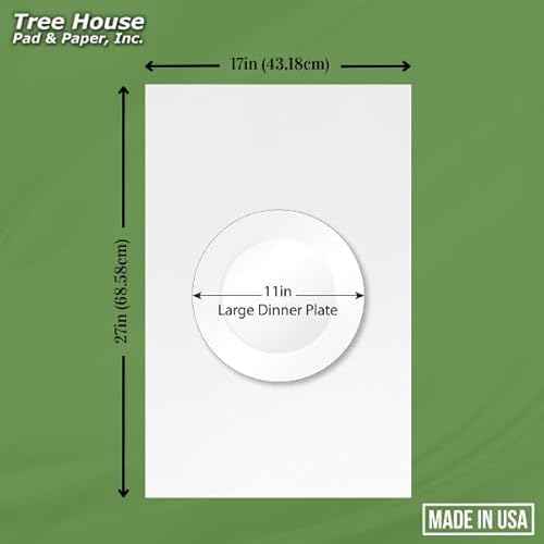 Packing Paper Sheets for Moving - 720 Sheets of Newsprint Paper - Must Have in Your Moving Supplies - 27" x 17" - Made in USA