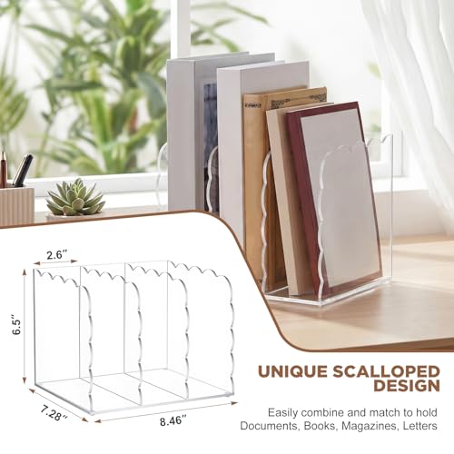 Suzile 1PC Scalloped Acrylic Magazine Holder - Standard Size, Desk Organizer