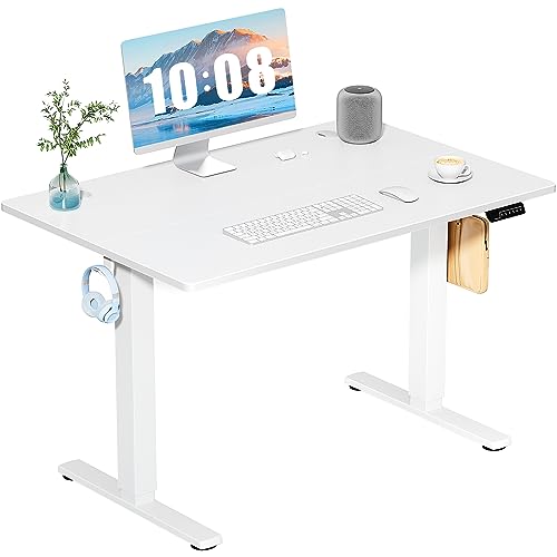 DUMOS 40-Inch Electric Standing Desk with Memory, Adjustable Home Office Desk