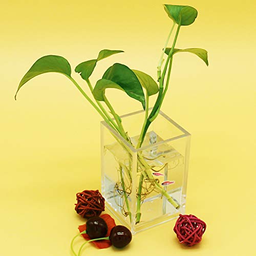 Cerpourt 2 Pack Clear Acrylic Pen & Makeup Brush Holder - Desktop Organizer