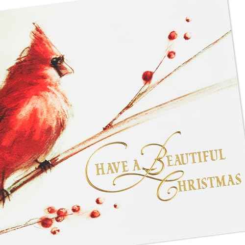 Hallmark Boxed Christmas Cards, Painted Cardinal (40 Cards and 40 Envelopes) Beautiful Christmas