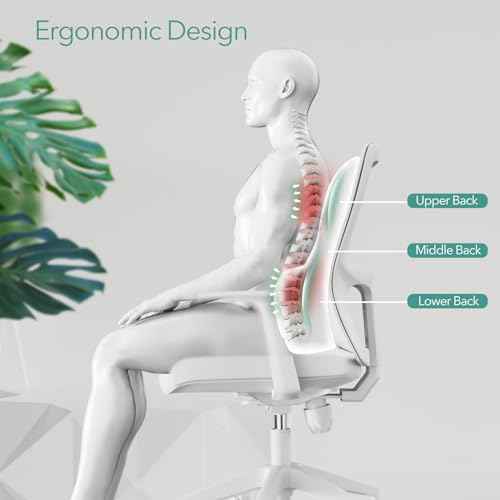 Lumbar Support Pillow for Office Chair ? Back Support for Office Chair with All-Season Memory Foam & Anti-Slip Silicone Base, Lower Back Relief