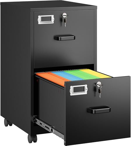 SISESOL Black 2-Drawer Mobile File Cabinet with Lock, Under Desk Office Storage
