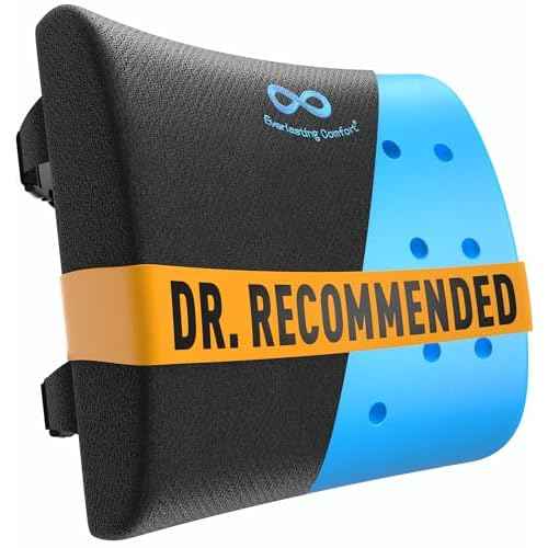 Everlasting Comfort Lumbar Support Pillow for Office Chair - Gel Infused Back Cushion for Chair, Car, Couch - Lumbar Pillow Promotes Better Posture, Back Pain Relief - Ideal for Gaming and Desk Chairs